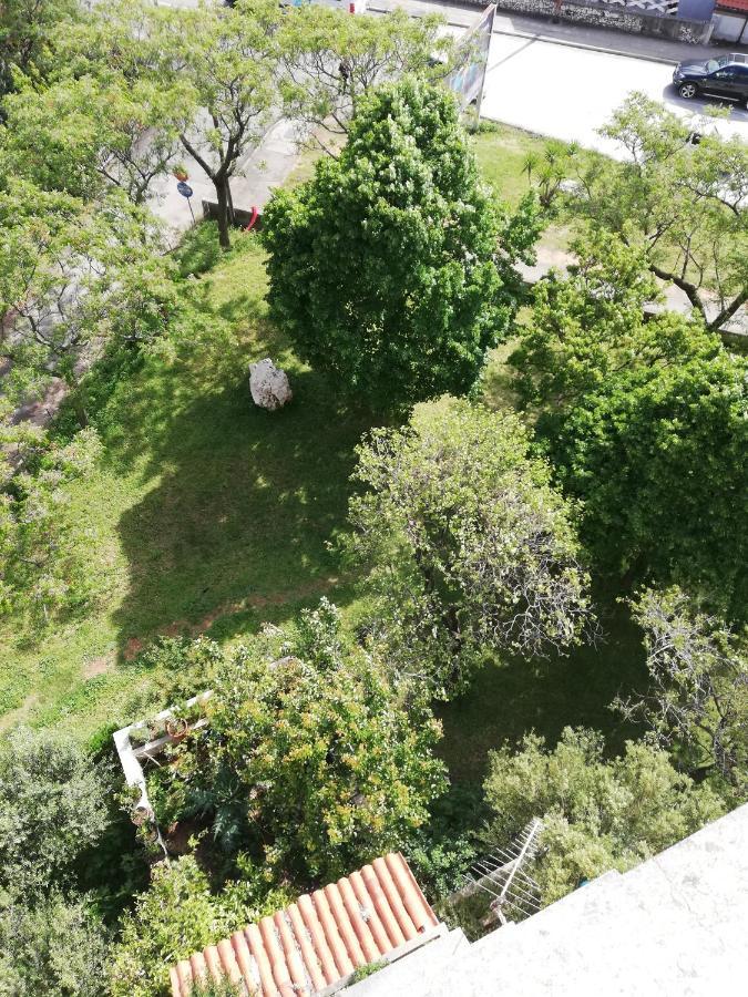 Apartman ViNiKa Zadar Bagian luar foto